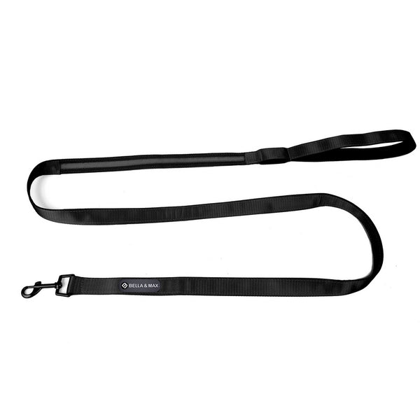 LED Leash - Black