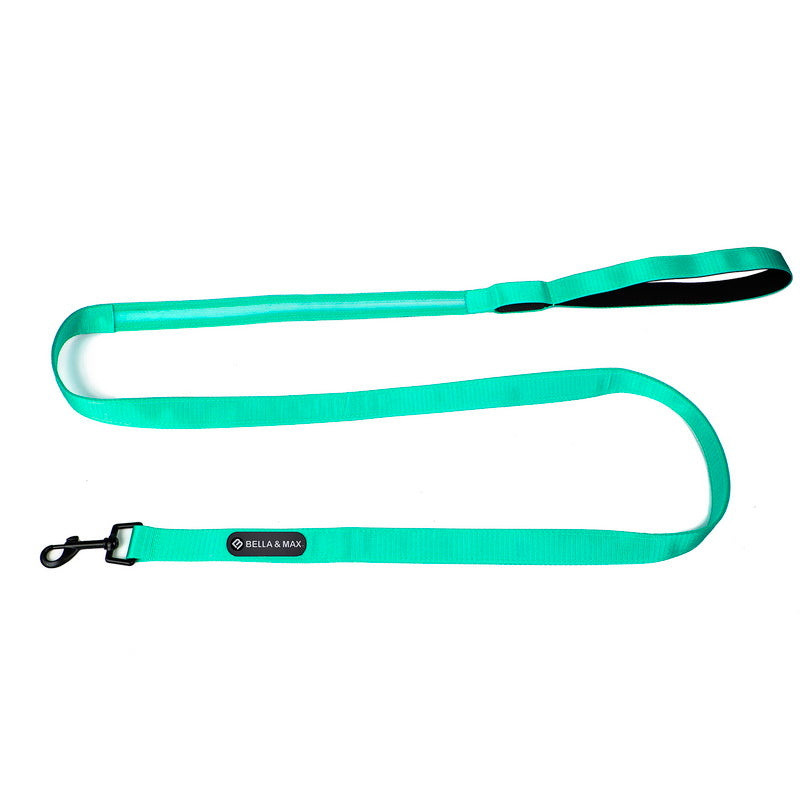 LED Leash - Green