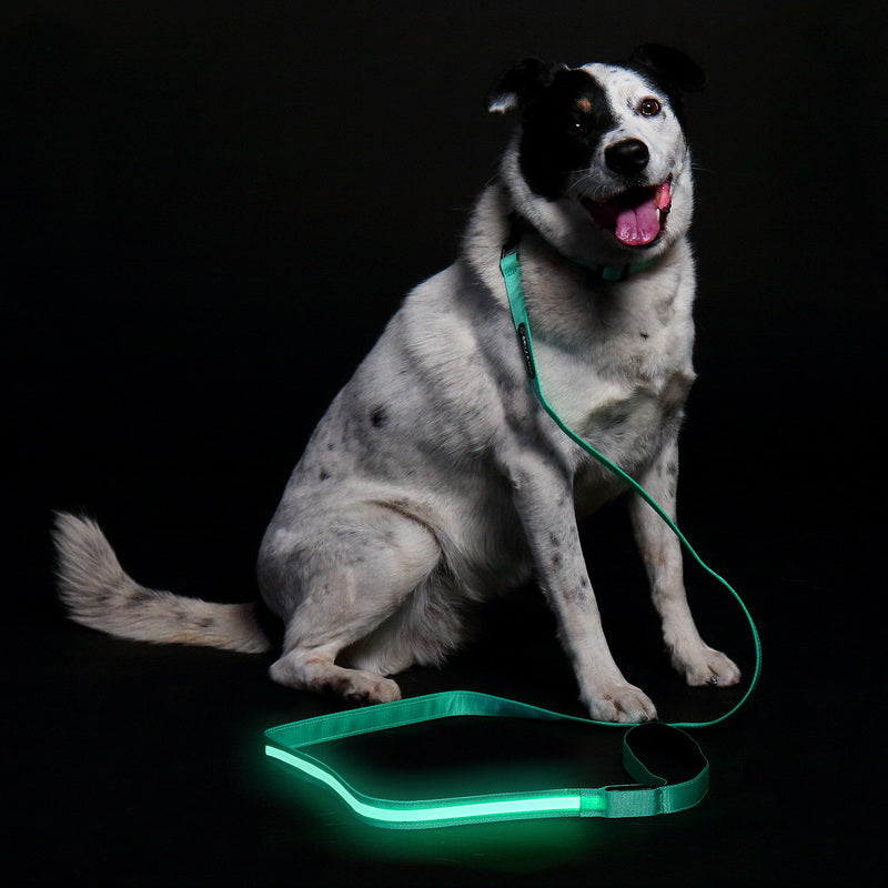 LED Leash - Green