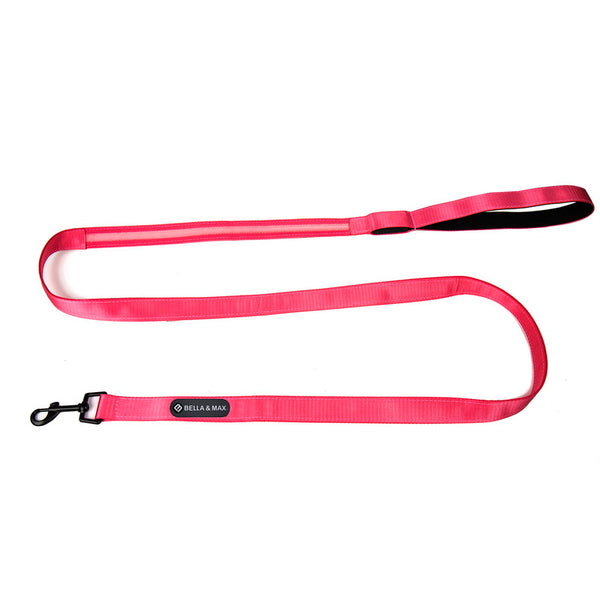 LED Leash - Pink