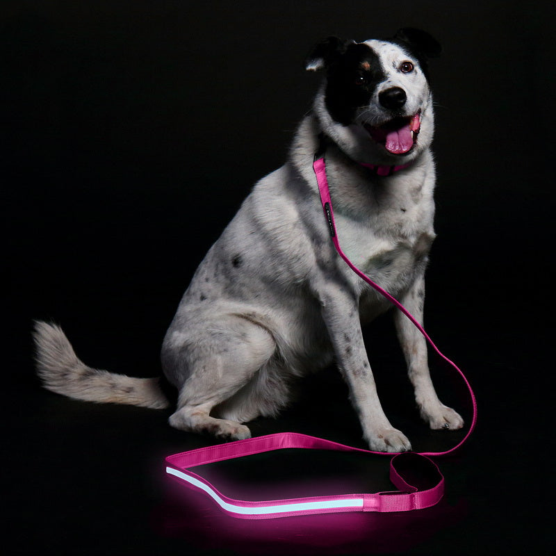 LED Leash - Pink