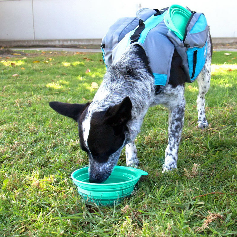 Collapsible Pet Bowl - Green