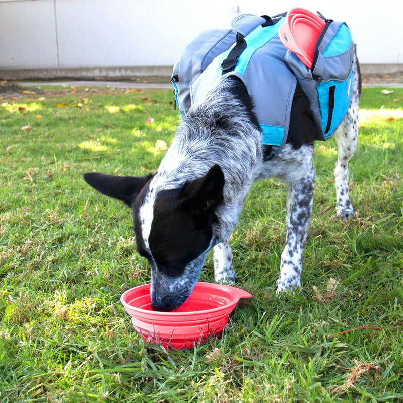 Collapsible Pet Bowl - Pink