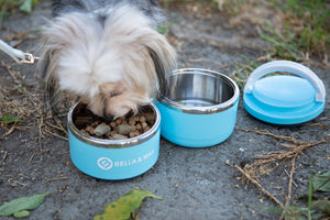 Pet Travel  Feeder