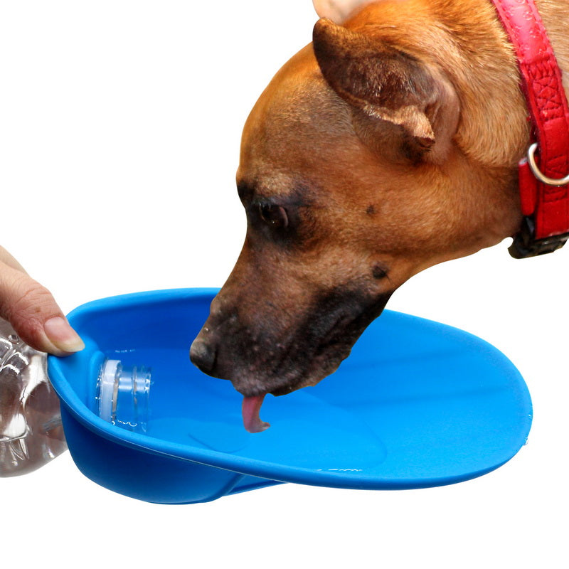 Pet Silicone Water Trough Blue