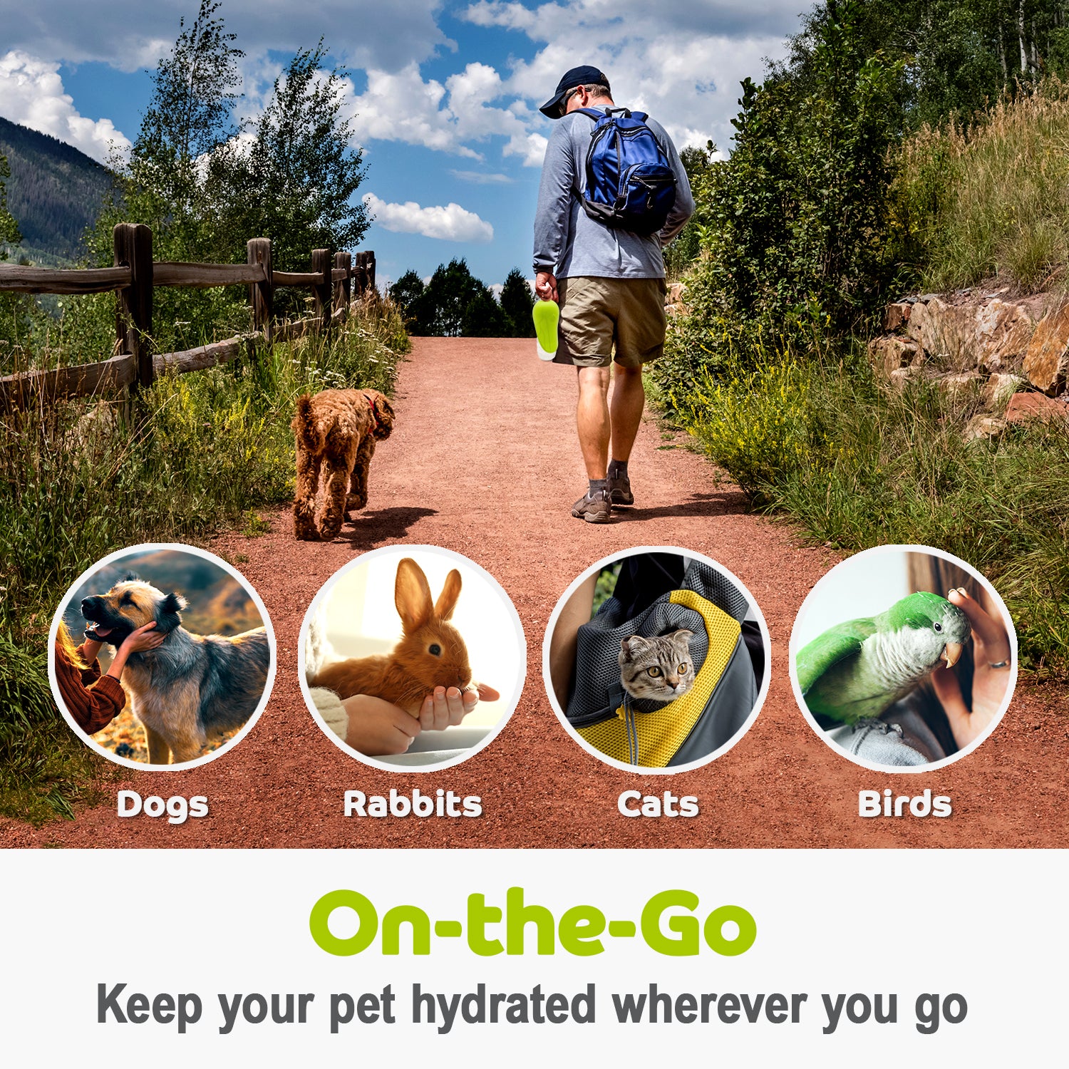 Pet Silicone Water Trough Green