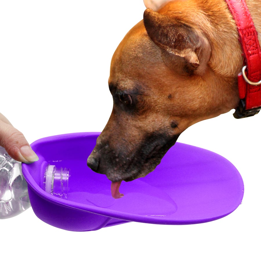 Pet Silicone Water Trough Purple